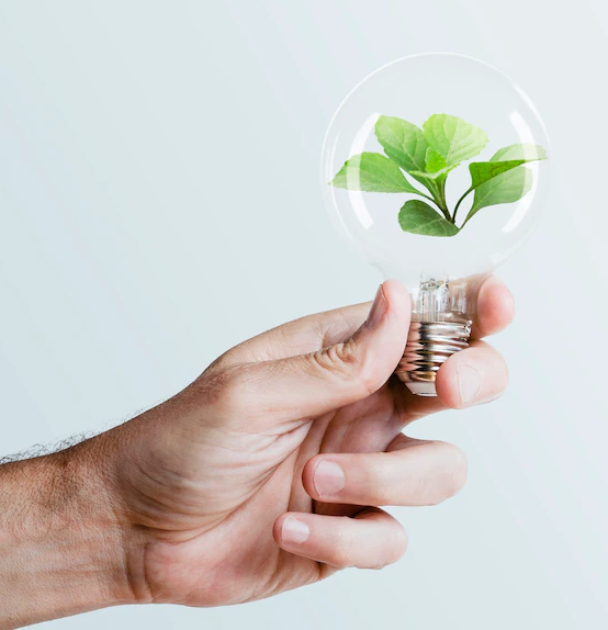 Consumo de energia limpa é total nas nossas fábricas