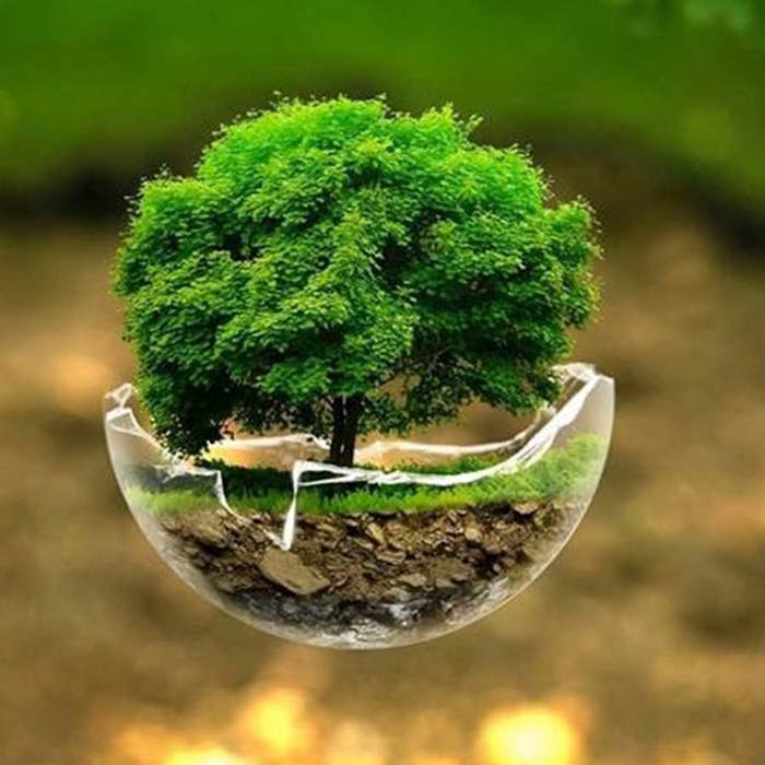 Sustentabilidade na Construção é uma tendência no Brasil