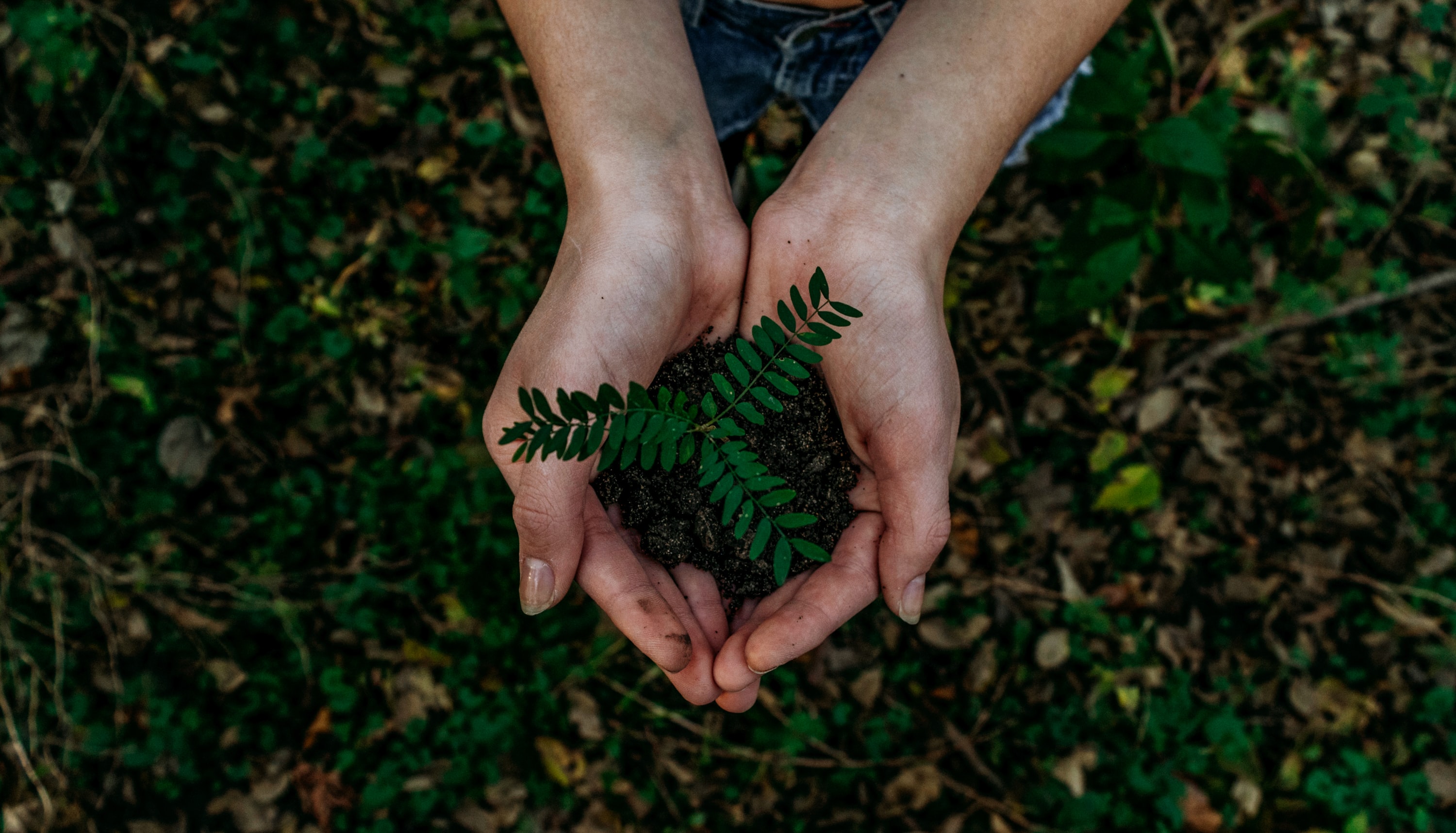 Sustentabilidade